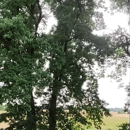 Maria * Smołdzino