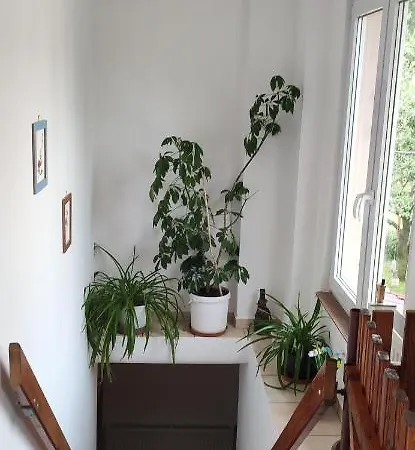 Ferienhaus Maria *